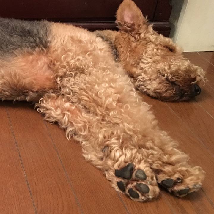 B86476b4 6431 4191 8998 345fc680d8e5