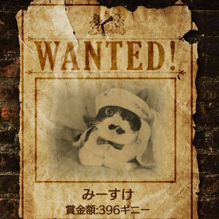 B86494c4 ff7d 4f30 b49a 8c32da8d2592
