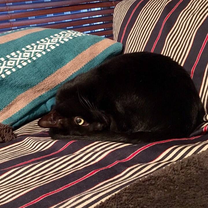 B864d68b 4665 4b9b 8599 a1a0562452a7