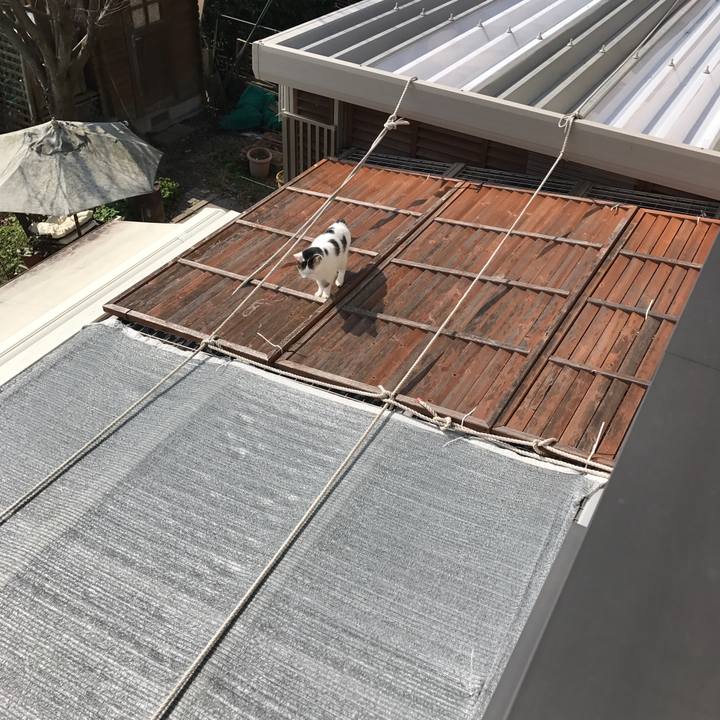 B8650bd5 bdc0 4513 8b73 f66632bda412