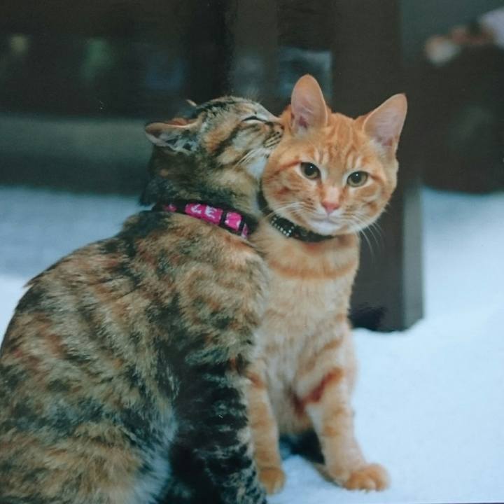 B86514cf a5af 4b23 b31e 0877fa7cab36