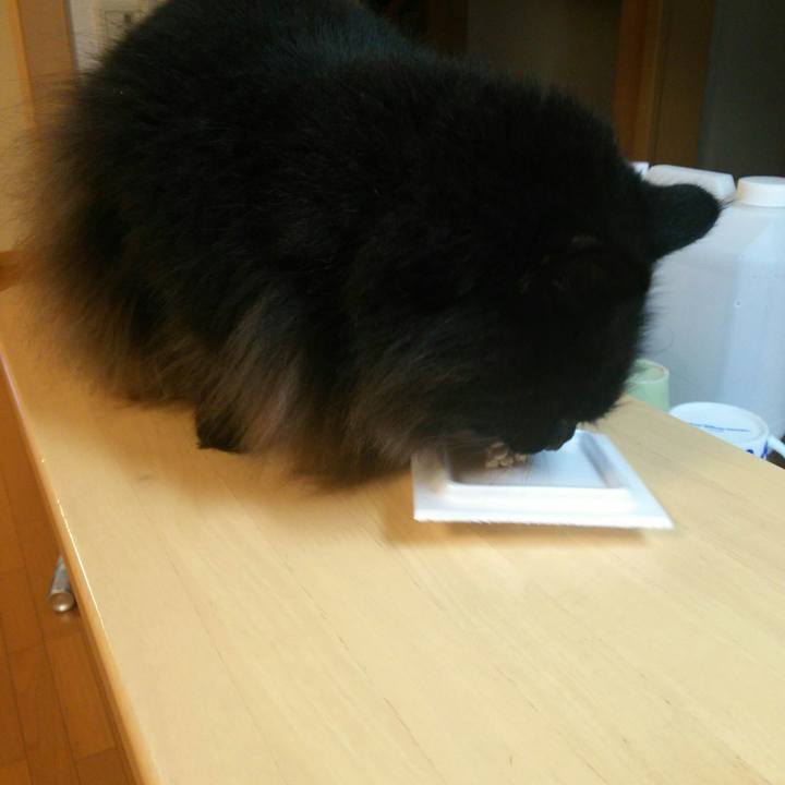 B8653287 d72e 4dab ad15 921ea2191b9f