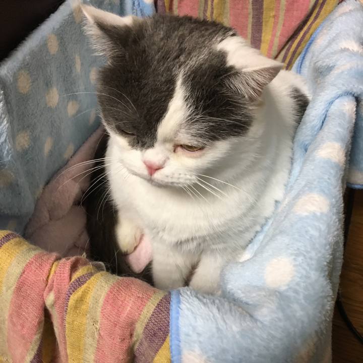 B865f156 ab37 4461 9bbc 506fb45dbc16