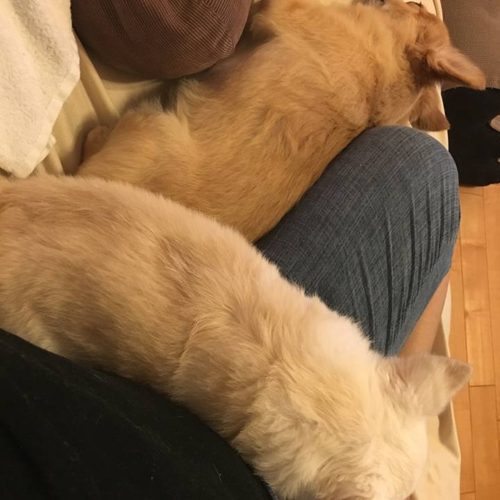 B866134e a332 4c63 8cbb ee09e0b28289