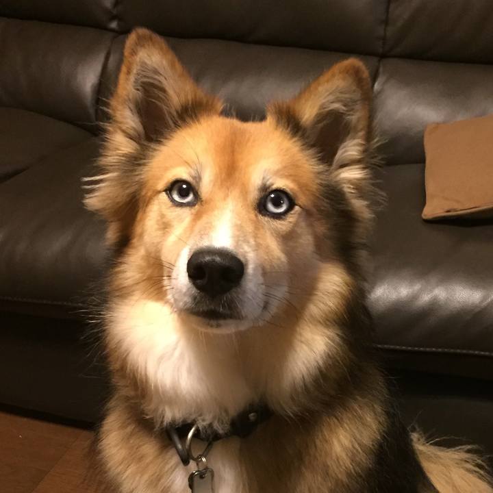 B8665956 5d4e 4b68 94c5 b116955a6172