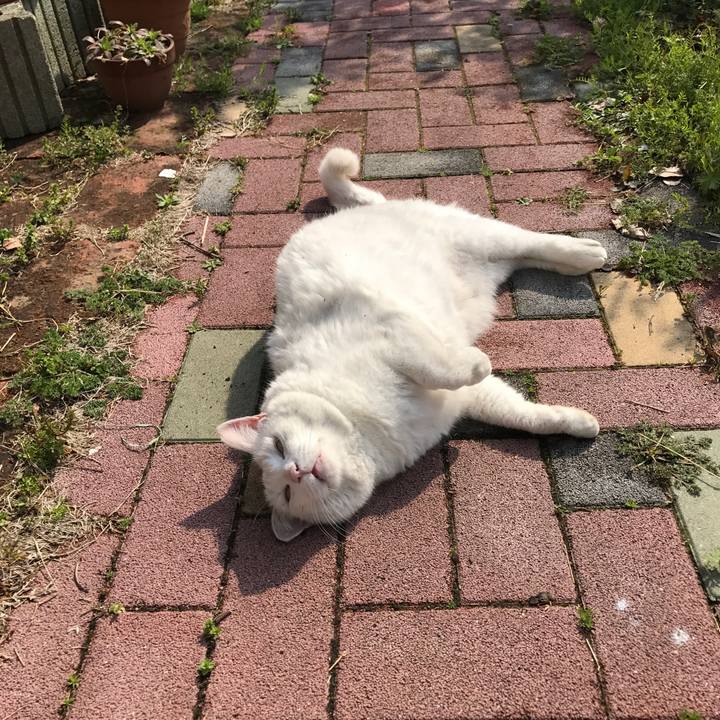 B86676e8 70eb 485d 887f 5aceb7f180ba