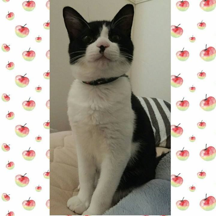 B8668201 9240 4195 ba58 d535d2da1c2d