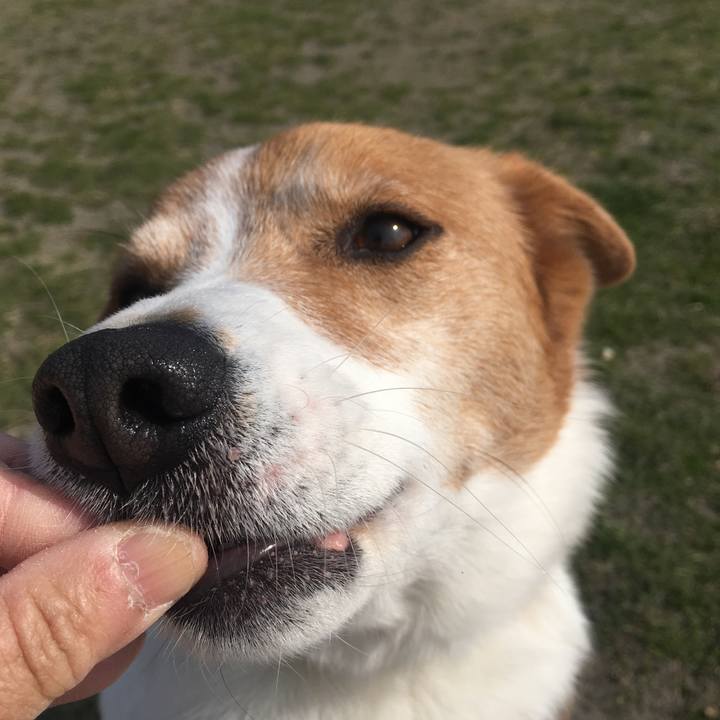 B866d29b d4c3 4ec2 8ede 842330de07a6