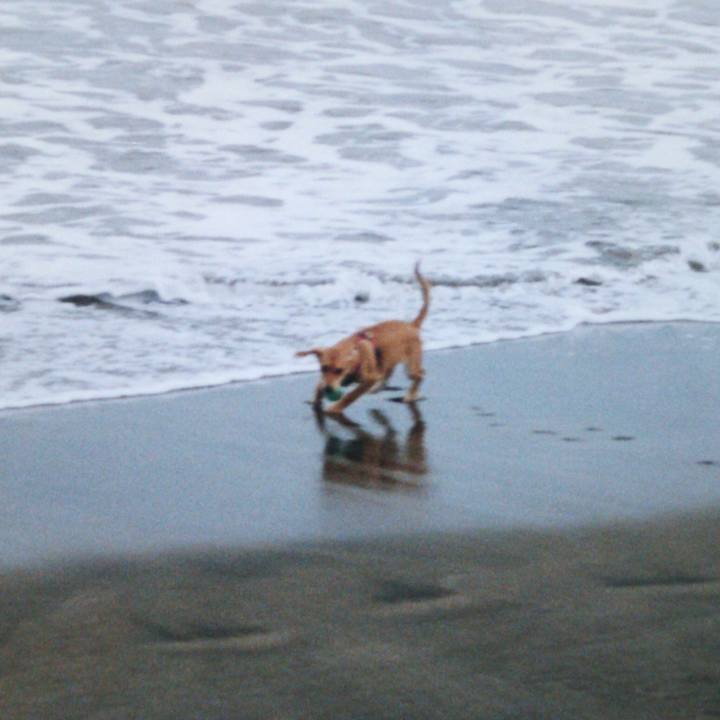 B8677492 41fa 4f86 bbe2 e2bb1b94c7fe