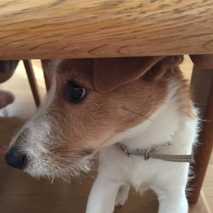 B867a4bb 2931 487c 90ca 914946068da5