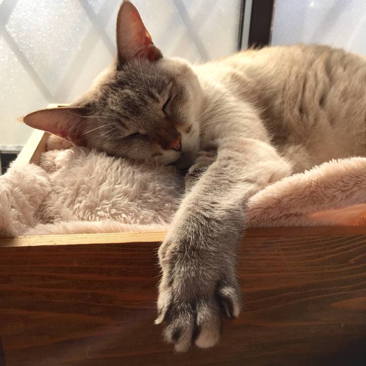 B8682421 12fa 4c72 8c36 70e10c4f3c95