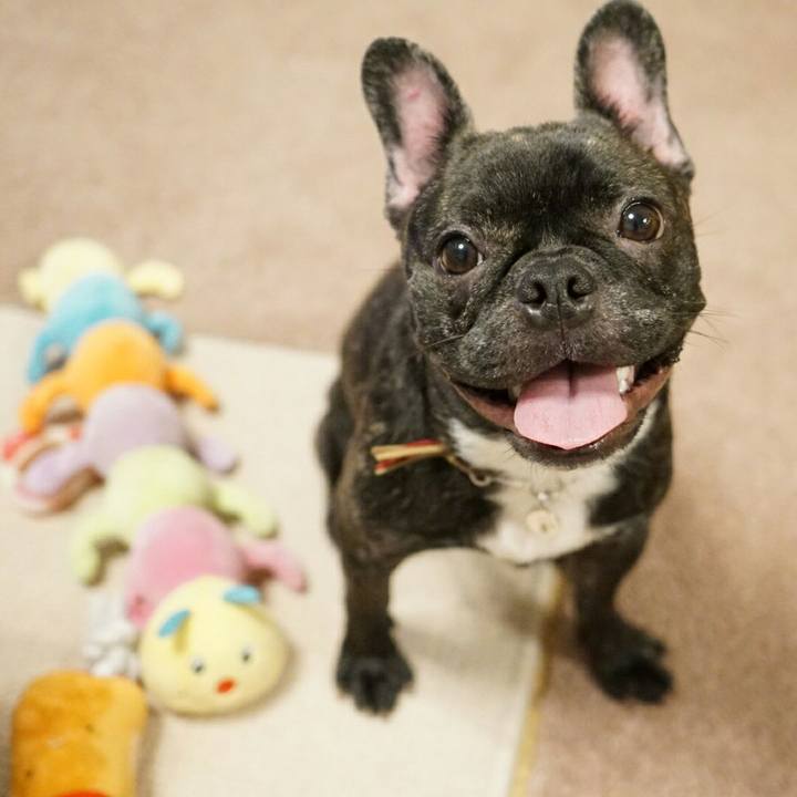 B868cb45 5b8b 4078 8d4c a3237164173b