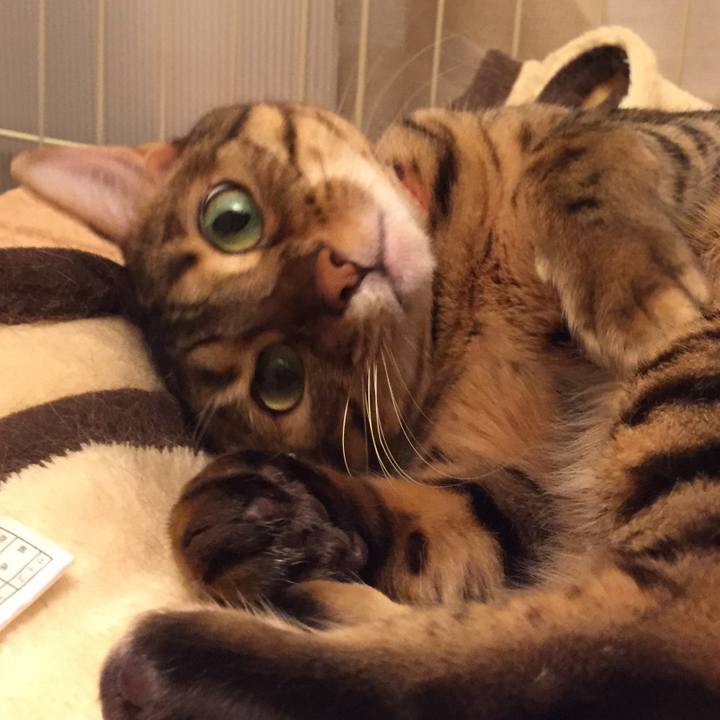 B8696bbd 8467 4532 9a74 cba89a0a872d