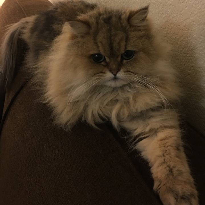 B86a5ab8 5ee1 46be b01f bd17866203e4