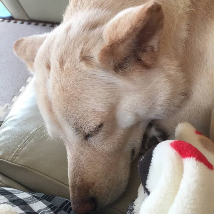 B86b36f1 c6e9 4b23 9054 e131ad7c7e6d