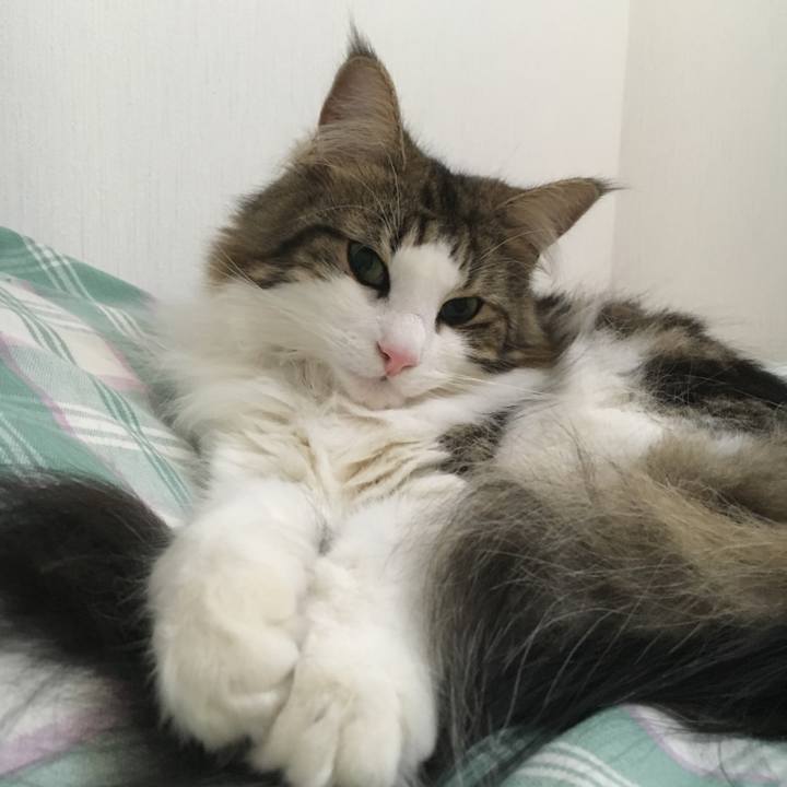 B86b575f c439 4c91 8e57 864aae73ac7f