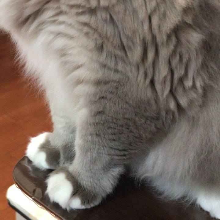 B86b6c66 6859 440e a17b 24a4b20e5701