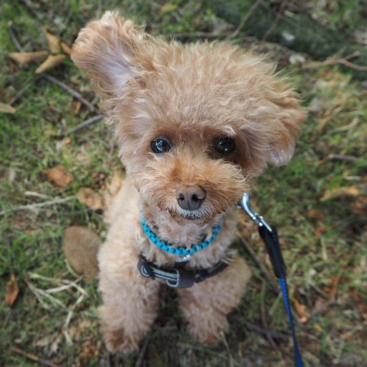 B86b99e8 16b8 4f81 a51b 7546501e52d6