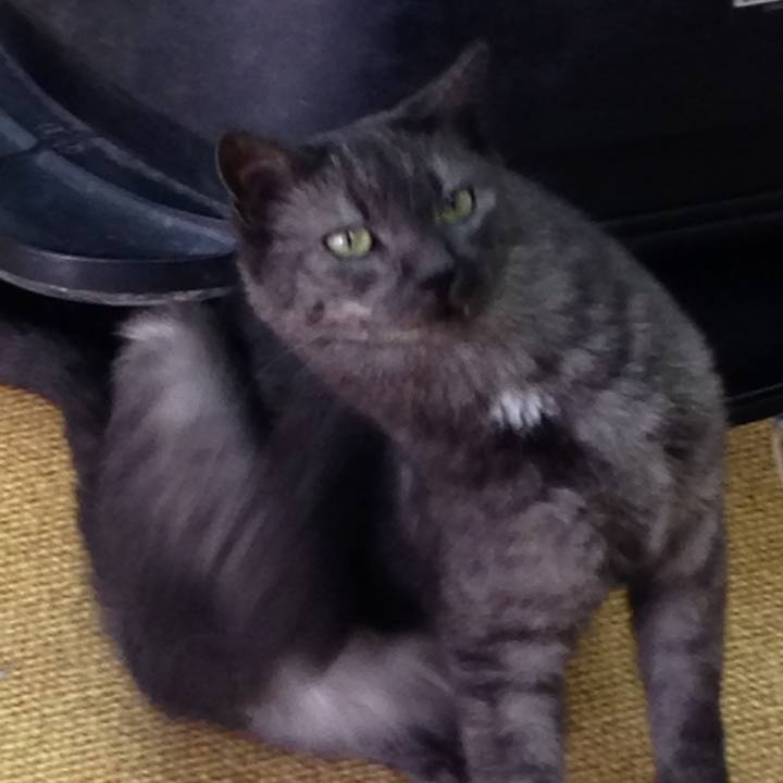 B86caa01 4baf 4a58 b663 b92aef75f5c7