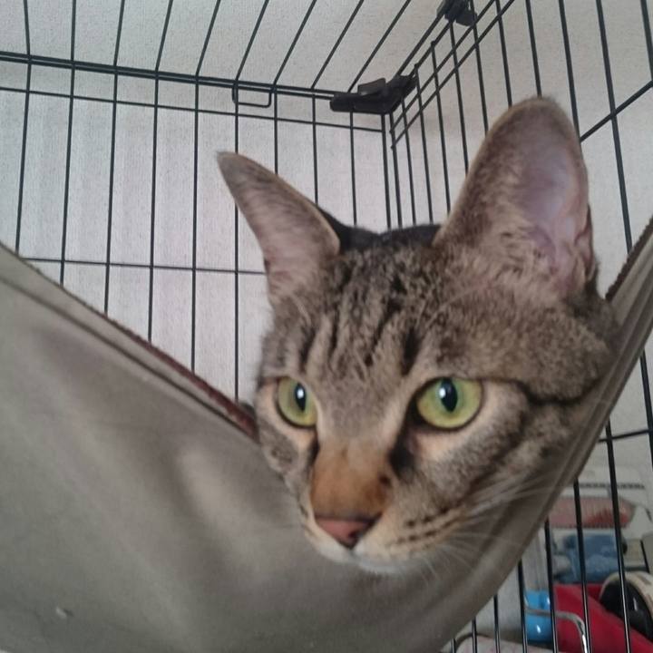 B86ccc79 b4d7 4b9c bfa8 9a7479cbafb1