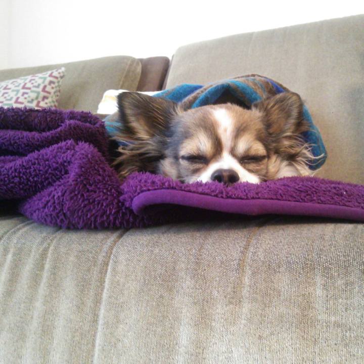 B86d355c 25bf 4c08 a940 04c312c24661