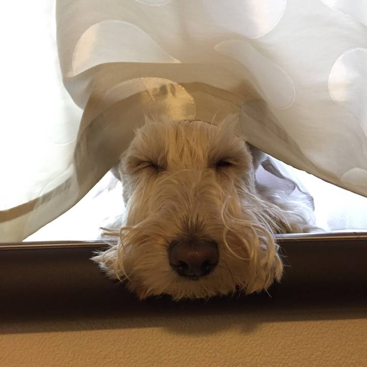 B86d37e4 9946 4e01 853b 45201bade820