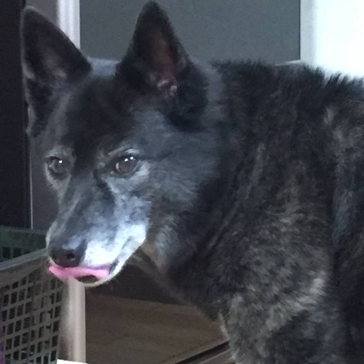 B86dc76a 2ce1 468b b881 2a8bcdf65396