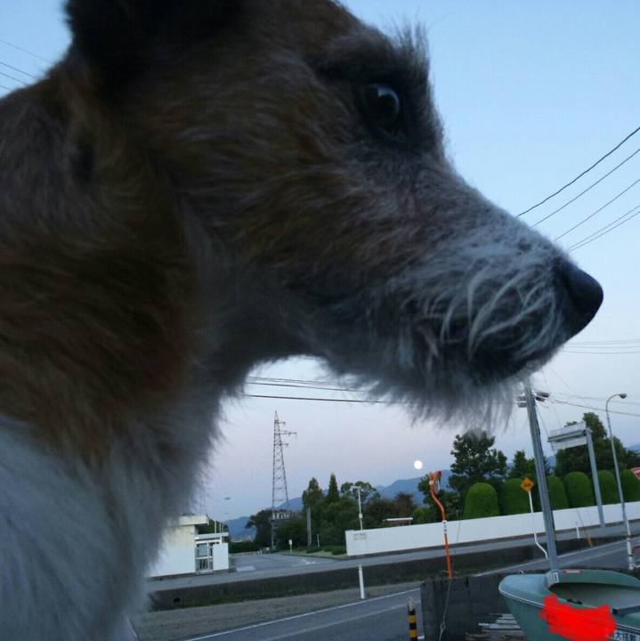 B86ddcea 19b7 4a9a 9821 845faf9c9062