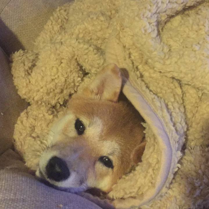 B86e4103 7da6 4093 a8ff 744463f82b0e