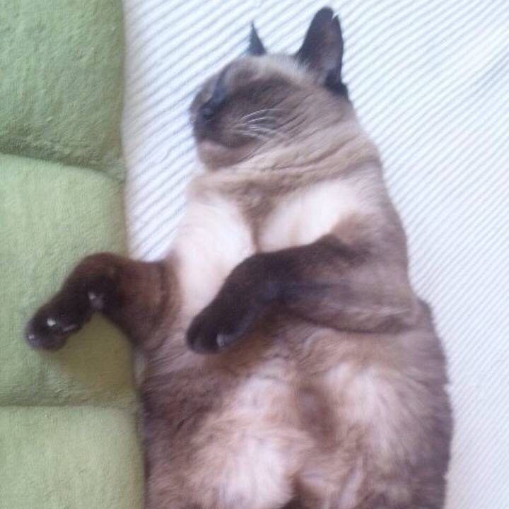 B86e7365 a1c8 4076 bb71 a98774683272