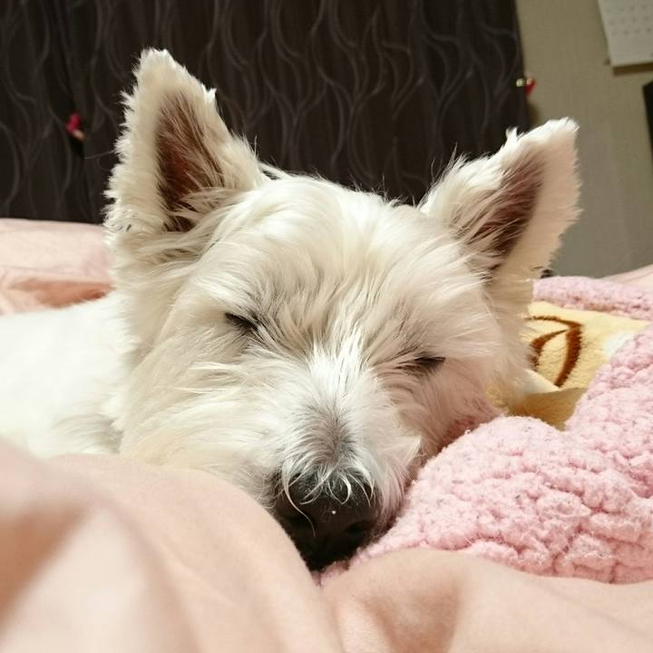 B86ec52c d5e7 475d b1d7 50e5ae76680f