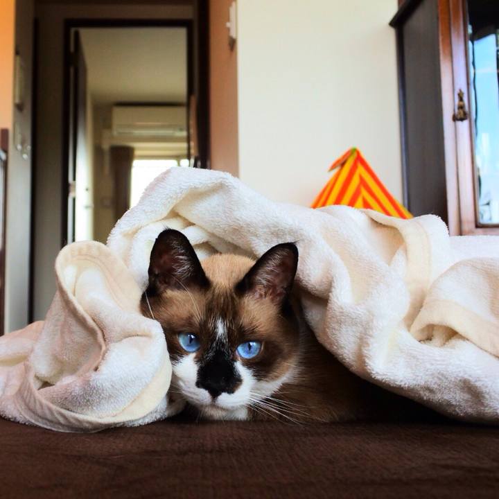 B86f1ddd a510 4dc7 a9ce 2d23c5b15389