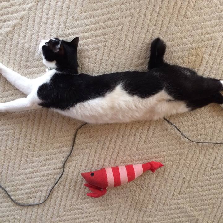 B86f4aba 7288 4510 bbdb e73b6b3ab72f