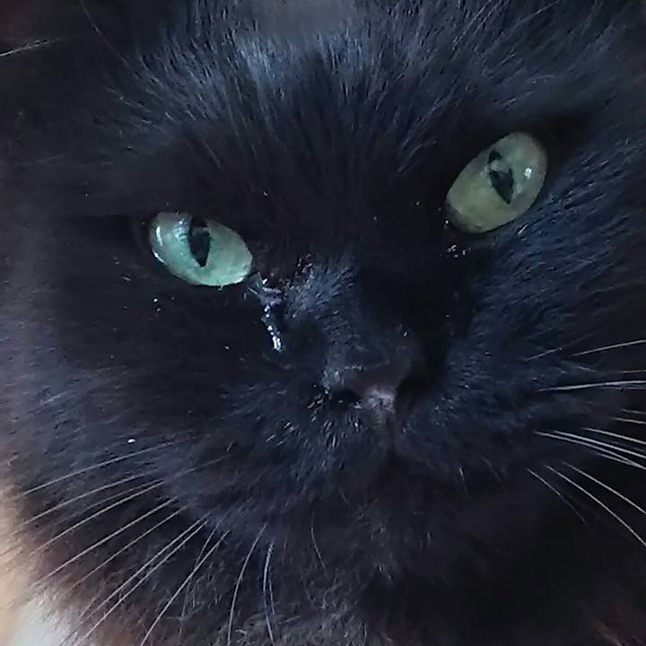 B86fa427 edff 417e 893d 597ba8461246