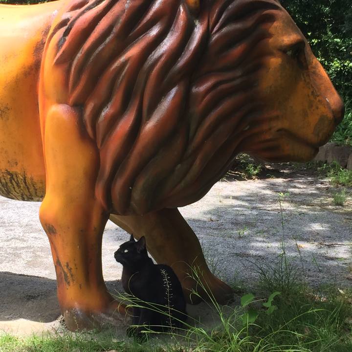 B86ffb14 50c1 48cb 9310 61e0a0609469