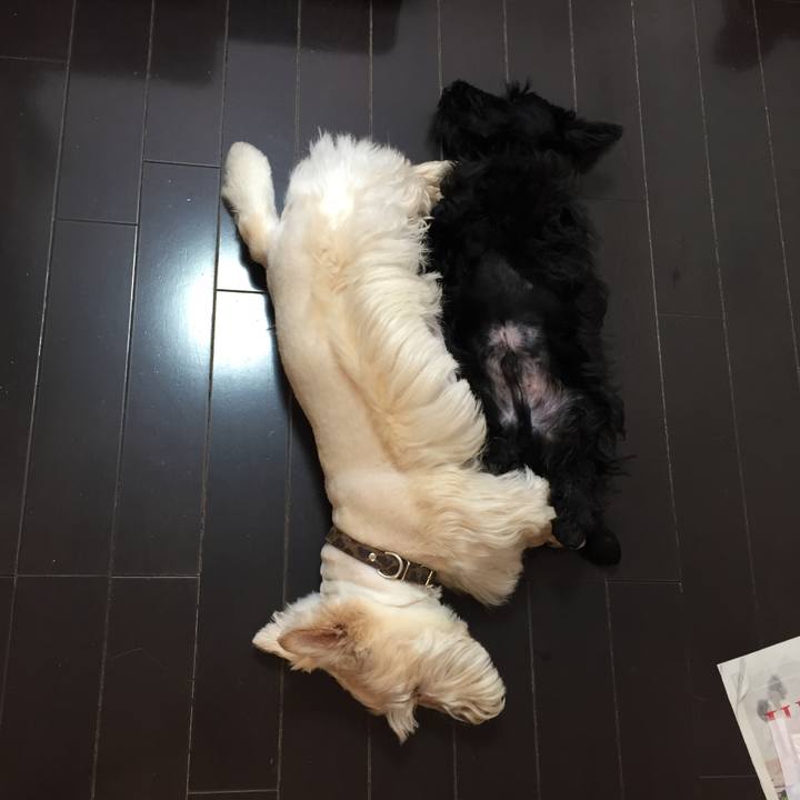 B87078a9 f0dd 4ad4 9820 ef8d25ecd5a0