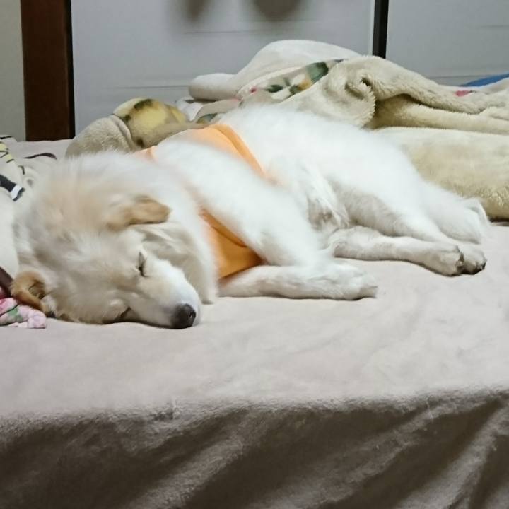 B8708b8b e889 4059 85d4 5da92c2a7be5