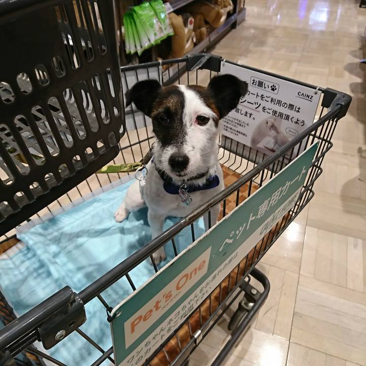 B870d1e6 abb2 4d8d 8e89 b1cd8229bd52