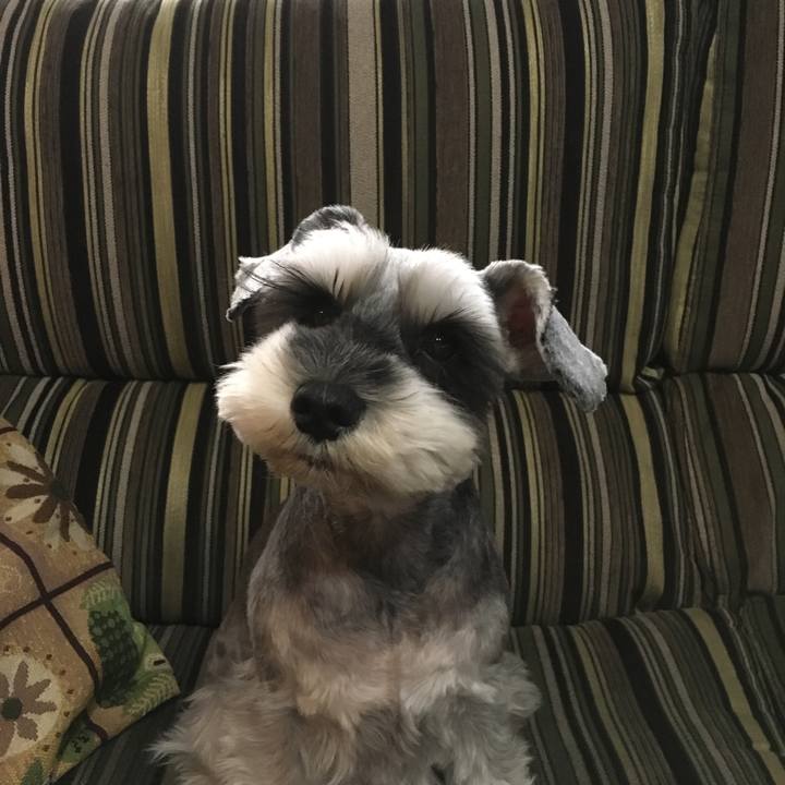 B8710e8e 580c 42f4 979f 896e9fc84294