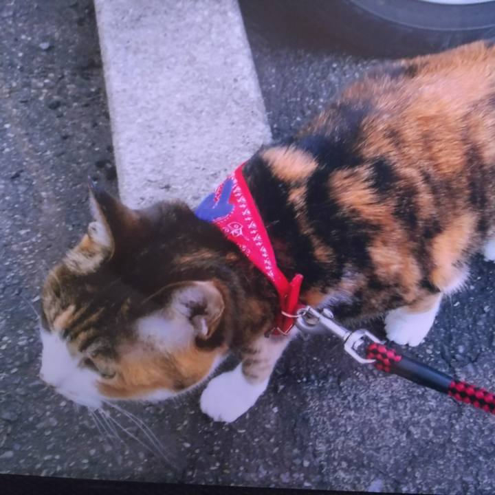 B871a964 bf02 44fc be06 31e3fabceb25