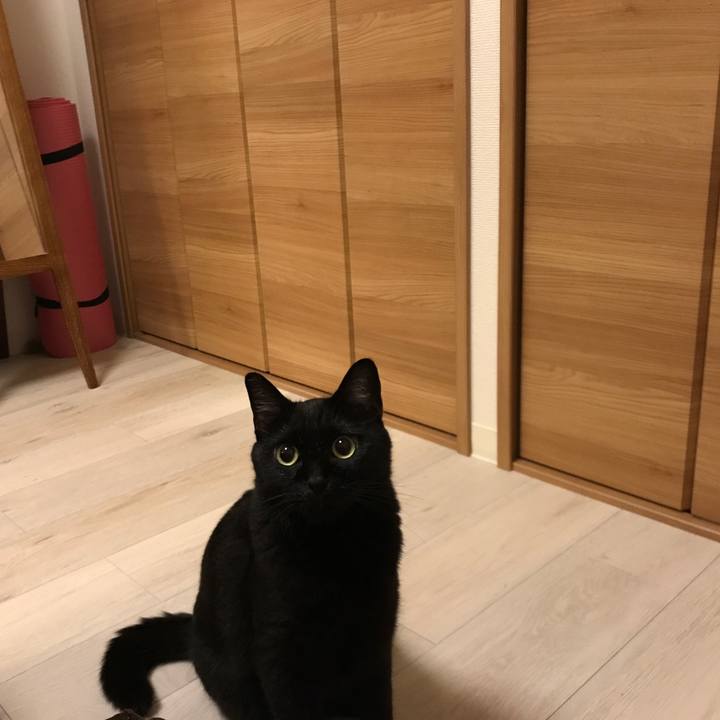 B871b3b8 8be3 4e73 8a70 b4948964020f