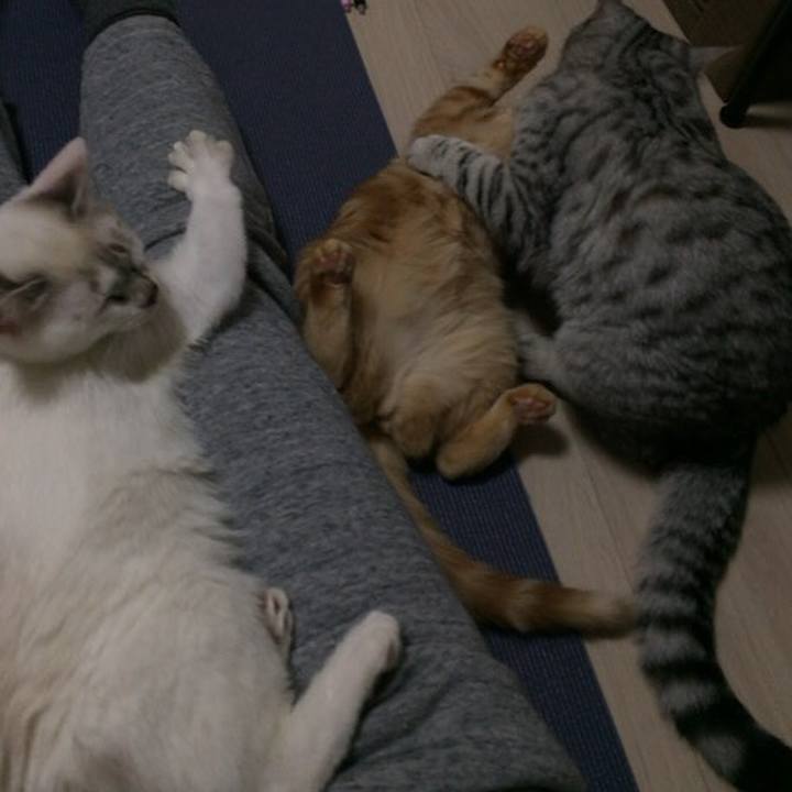 B871ec36 1126 426f a2e3 952e347e2476