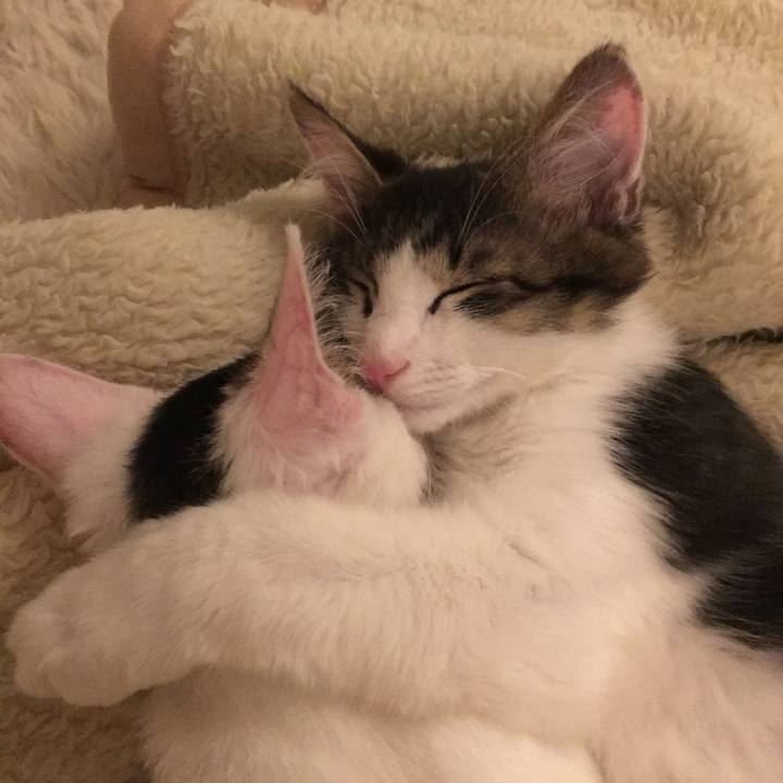 B87248b1 7b54 487e a2a9 6382c88ab514