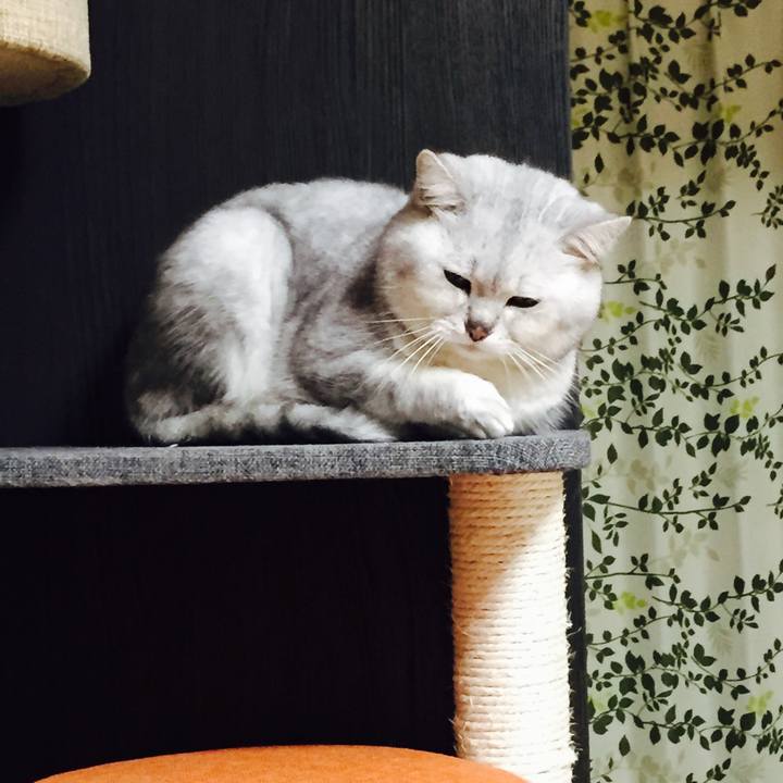 B872748f 0f6c 4f22 897d 103183efbdbd