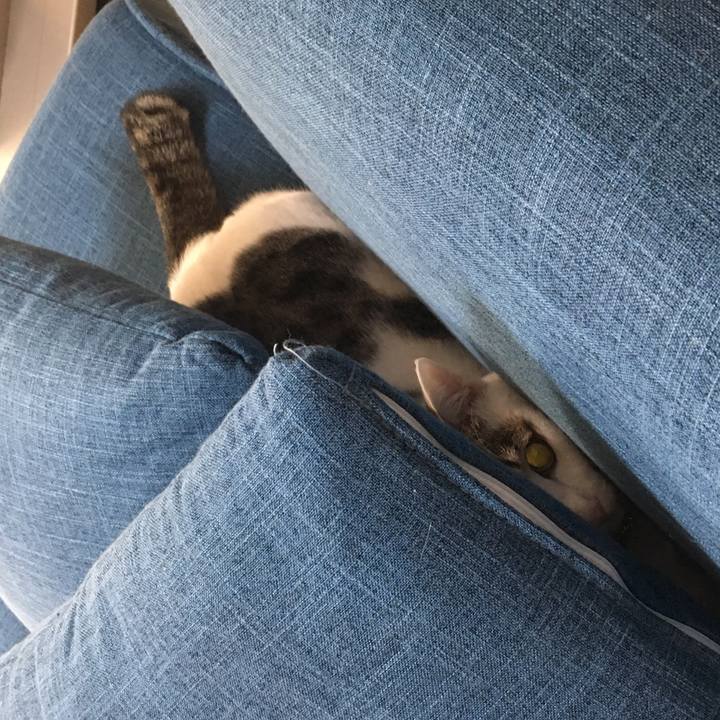 B87276aa cb0d 479a a7f5 8b7218de7839