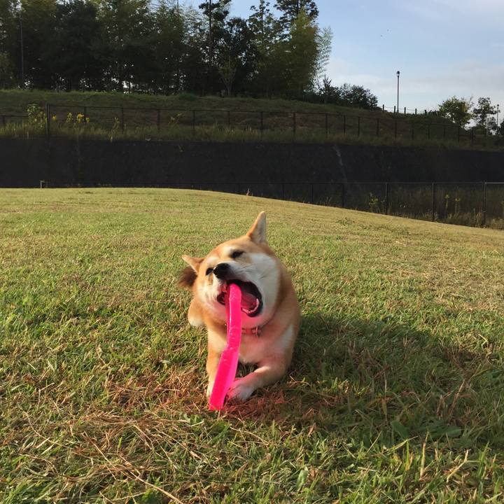 B87327ce 70ff 4c50 8372 0cc670de43f2