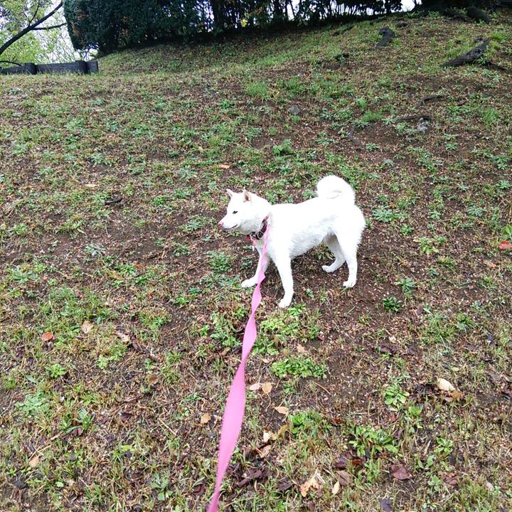 B8734626 3f75 43f5 b3d4 4feaff8faad2