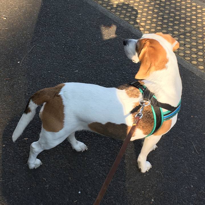 B8734977 fe63 4320 bd83 adb880023aa4