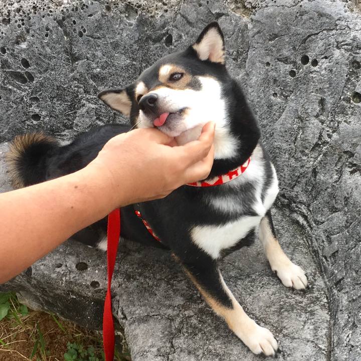 B873ca85 bc4a 4c44 a120 85c4f3b94154