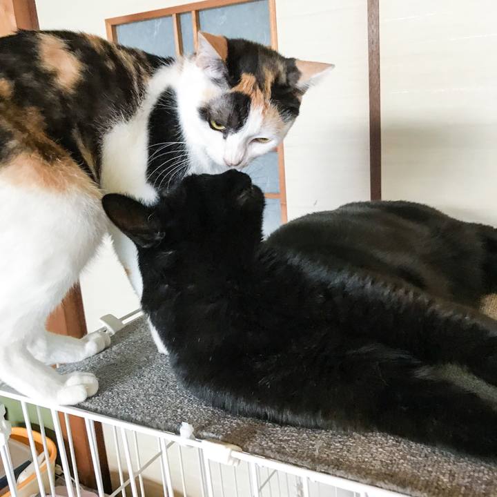 B8748716 285b 409a bf95 0ddfcbc0e70f